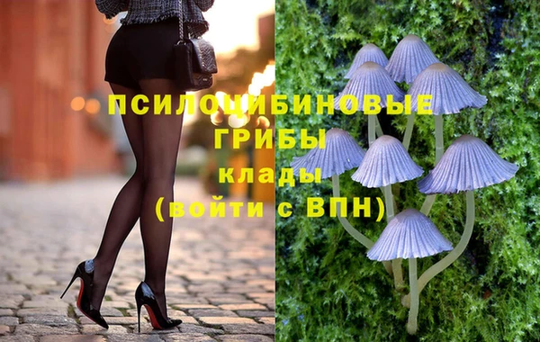 ГАЛЛЮЦИНОГЕННЫЕ ГРИБЫ Волосово