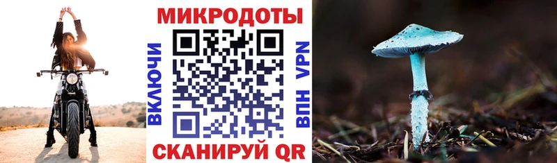 Галлюциногенные грибы Magic Shrooms  МЕГА как войти  Оха 